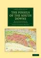 The Fossils of the South Downs: Or, Illustrations of the Geology of Sussex