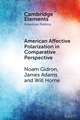 American Affective Polarization in Comparative Perspective