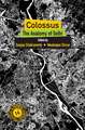 Colossus: The Anatomy of Delhi