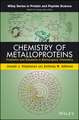 Chemistry of Metalloproteins – Problems and Solutions in Bioinorganic Chemistry