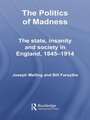 The Politics of Madness: The State, Insanity and Society in England, 1845–1914