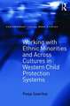 Working with Ethnic Minorities and Across Cultures in Western Child Protection Systems