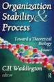 Organization Stability and Process: Volume 3