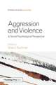 Aggression and Violence: A Social Psychological Perspective