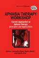 Aphasia Therapy Workshop: Current Approaches to Aphasia Therapy - Principles and Applications: A Special Issue of Aphasiology