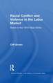 Racial Conflicts and Violence in the Labor Market: Roots in the 1919 Steel Strike