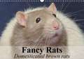 Fancy Rats Domesticated brown rats (Wall Calendar 2018 DIN A3 Landscape)