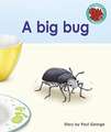 George, P: Big bug