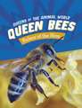 Queen Bees