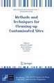 Methods and Techniques for Cleaning-up Contaminated Sites