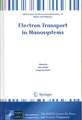 Electron Transport in Nanosystems