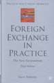 Foreign Exchange in Practice: The New Environment