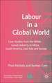 Labour in a Global World: Case Studies from the White Goods Industry in Africa, South America, East Asia and Europe