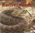 Rattlesnakes