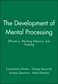 The Development of Mental Processing