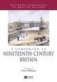 A Companion to Nineteenth–Century Britain