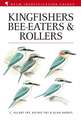 Kingfishers, Bee-eaters and Rollers