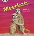 Bug Club Phonics - Phase 5 Unit 22: Meerkats