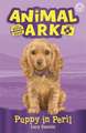 Animal Ark, New 4: Puppy in Peril