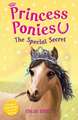 Princess Ponies 3: The Special Secret