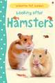 Looking after Hamsters