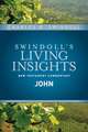 Insights on John