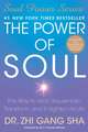 The Power of Soul: The Way to Heal, Rejuvenate, Transform, and Enlighten All Life