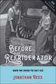 Before the Refrigerator – How We Used to Get Ice