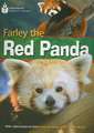 Farley the Red Panda