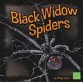 Black Widow Spiders