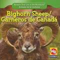 Bighorn Sheep/Carneros de Canada