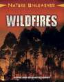 Nature Unleashed: Wildfires