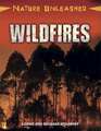 Spilsbury, L: Nature Unleashed: Wildfires