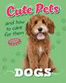 Cute Pets! And How to Care For Them: Dogs