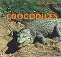 Crocodiles