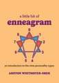 Little Bit of Enneagram