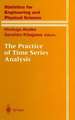 The Practice of Time Series Analysis