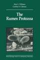 The Rumen Protozoa