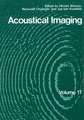 Acoustical Imaging