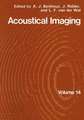 Acoustical Imaging