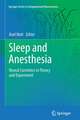 Sleep and Anesthesia: Neural Correlates in Theory and Experiment