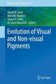 Evolution of Visual and Non-visual Pigments