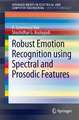 Robust Emotion Recognition using Spectral and Prosodic Features