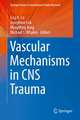 Vascular Mechanisms in CNS Trauma