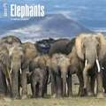 Elephants - Elefanten 2017 - 18-Monatskalender