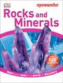 Rocks and Minerals