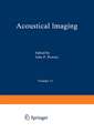 Acoustical Imaging