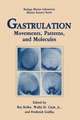 Gastrulation: Movements, Patterns and Molecules