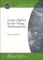 Linear Algebra for the Young Mathematician