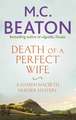 Death of a Perfect Wife